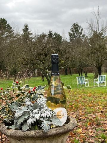 "Aux Chants Des Oiseaux" Domaine De La Renardiere Les Grandes-Loges Kültér fotó